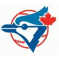 Toronto Blue Jays Alternate Logo  Light Iron-on Stickers (Heat Transfers)