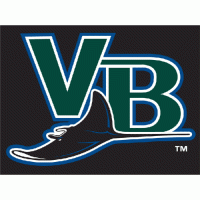 Vero Beach Devil Rays cap logo (2007-pres)Light Iron-on Stickers (Heat Transfers) 01