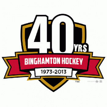 2012 13-Pres Binghamton Senators Anniversary Logo Light Iron-on Stickers (Heat Transfers)