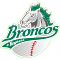 Reynosa Broncos primary 2009 Light Iron-on Stickers (Heat Transfers)