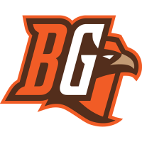 Bowling Green Falcons 2006-Pres Alternate Logo Light Iron-on Stickers (Heat Transfers)