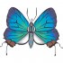 Butterfly Light Iron On Stickers (Heat Transfers) version 18