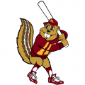 1986-Pres Minnesota Golden Gophers Mascot Logo Light Iron-on Stickers (Heat Transfers) 6