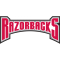 Arkansas Razorbacks 2001-2008 Wordmark Logo4 Light Iron-on Stickers (Heat Transfers)