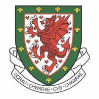 Wales Football Confederation Light Iron-on Stickers (Heat Transfers)