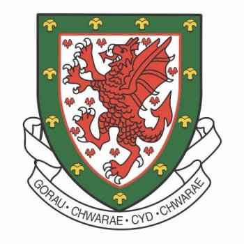 Wales Football Confederation Light Iron-on Stickers (Heat Transfers)