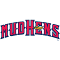 Toledo Mud Hens wordmark logo(2006-pres) Light Iron-on Stickers (Heat Transfers) 01