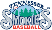 Tennessee Smokies Primary Logos 1