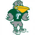 1998-Pres Tulane Green Wave Mascot Logo Light Iron-on Stickers (Heat Transfers)