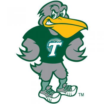 1998-Pres Tulane Green Wave Mascot Logo Light Iron-on Stickers (Heat Transfers)