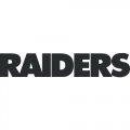 Oakland Raiders Script Logo  Light Iron-on Stickers (Heat Transfers)