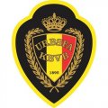 Belgium Football Confederation Light Iron-on Stickers (Heat Transfers)