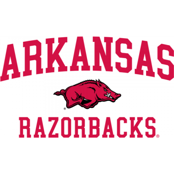 Arkansas Razorbacks 2009-Pres Alternate Logo Light Iron-on Stickers (Heat Transfers)