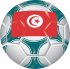 Tunisia Soccer Light Iron-on Stickers (Heat Transfers)