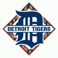 Detroit Tigers Alternate Logo  Light Iron-on Stickers (Heat Transfers)