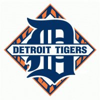 Detroit Tigers Alternate Logo  Light Iron-on Stickers (Heat Transfers)