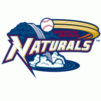 Northwest Arkansas Naturals primary logo (2008-pres)Light Iron-on Stickers (Heat Transfers) 01