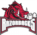 Arkansas Razorbacks 2001-2008 Alternate Logo2 Light Iron-on Stickers (Heat Transfers)