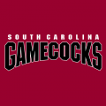 2002-Pres South Carolina Gamecocks Wordmark Logo Light Iron-on Stickers (Heat Transfers)