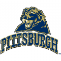 2005-Pres Pittsburgh Panthers Secondary Logo Light Iron-on Stickers (Heat Transfers)