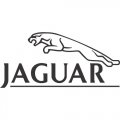 Jaguar logo Light Iron On Stickers (Heat Transfers) version 2