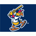 Toledo Mud Hens cap logo(2006-pres) Light Iron-on Stickers (Heat Transfers) 03