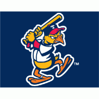 Toledo Mud Hens cap logo(2006-pres) Light Iron-on Stickers (Heat Transfers) 03