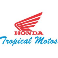 Honda Motos logo Light Iron On Stickers (Heat Transfers)