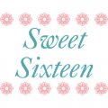 Sweet Sixteen light-colored apparel iron on stickers