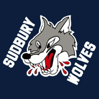 1989 90-2008 09 Sudbury Wolves Photo Gallery Jersey Logo1 Light Iron-on Stickers (Heat Transfers)