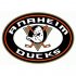 Anaheim Ducks Alternate Logo  Light Iron-on Stickers (Heat Transfers)