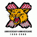 2006 07 Moncton Wildcats Anniversary Logo Light Iron-on Stickers (Heat Transfers)