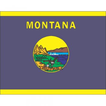 Montana State Flag Light Iron On Stickers (Heat Transfers)