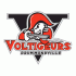 2005 06-2007 08 Drummondville Voltigeurs Primary Logo Light Iron-on Stickers (Heat Transfers)