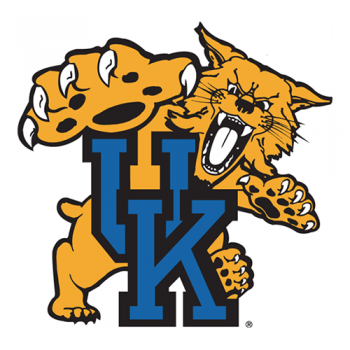 1989-2004 Kentucky Wildcats Primary Logo Light Iron-on Stickers (Heat Transfers)