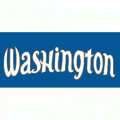 Washington Mystics 1998-2010 Wordmark Logo 2 Transfers for dress