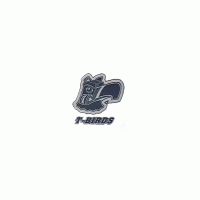 1997 98 Seattle Thunderbirds Alternate Logo Light Iron-on Stickers (Heat Transfers)