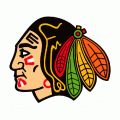 1999 00-Pres Portland Winter Hawks Primary Logo Light Iron-on Stickers (Heat Transfers)