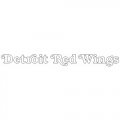 Detroit Red Wings Script Logo  Light Iron-on Stickers (Heat Transfers) version 2