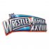 WWE Logo Light Iron-on Stickers (Heat Transfers) N2964