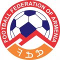 Armenia Football Confederation Light Iron-on Stickers (Heat Transfers)