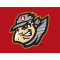 Altoona Curve cap logo(2011-pres)Light Iron-on Stickers (Heat Transfers) 03