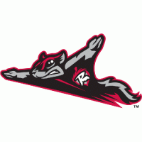 Richmond Flying Squirrels primary logo(2010-pres)Light Iron-on Stickers (Heat Transfers) 01