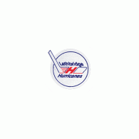 1987 88-1996 97 Lethbridge Hurricanes Primary Logo Light Iron-on Stickers (Heat Transfers)