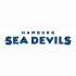 Hamburg Sea Devils 2005-2007 Wordmark Logo1 Light Iron-on Stickers (Heat Transfers)