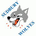 1989 90-2008 09 Sudbury Wolves Photo Gallery Primary Logo Light Iron-on Stickers (Heat Transfers)