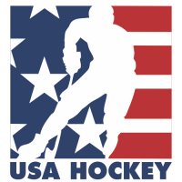 Hockey Team USA Primary Logo Light Iron-on Stickers (Heat Transfers) version 2