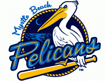 Myrtle Beach Pelicans primary logo (2006-pres)Light Iron-on Stickers (Heat Transfers) 01