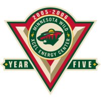 Minnesota Wild Anniversary Logo  Light Iron-on Stickers (Heat Transfers)