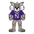 1998-Pres Northwestern Wildcats Mascot Logo Light Iron-on Stickers (Heat Transfers)